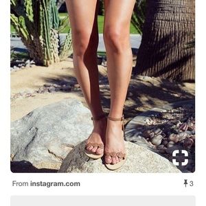 Jack Rogers Schuhes New In Box Daphne Sandale Poshmark Jack Box Rogers Schuhes New In Box Jack Daphne Sandale Poshmark c008b3